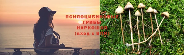 шишки Ладушкин