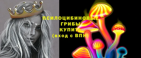 индика Арсеньев